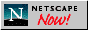 Netscape Now!